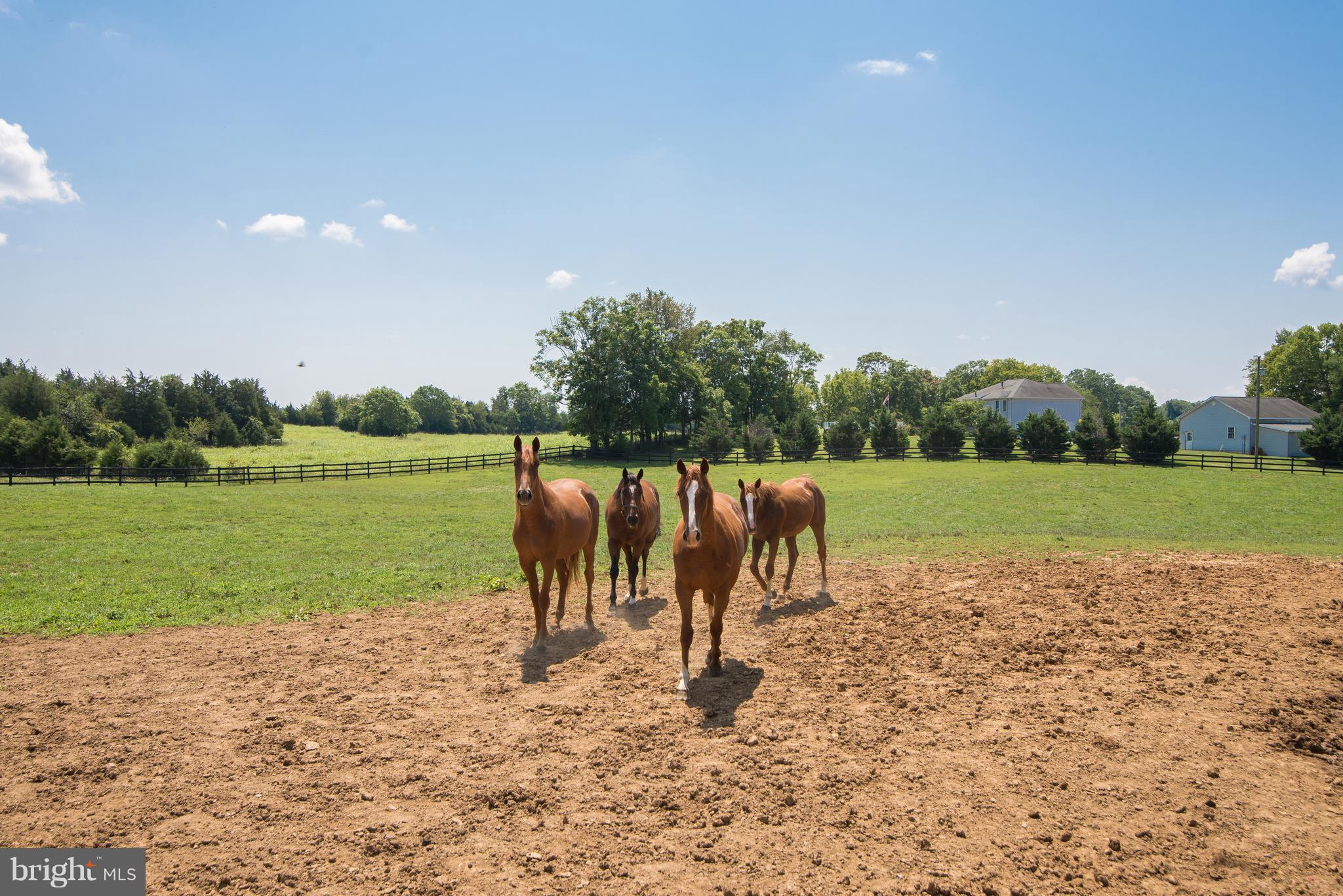 VIOLET KNOLL - Residential