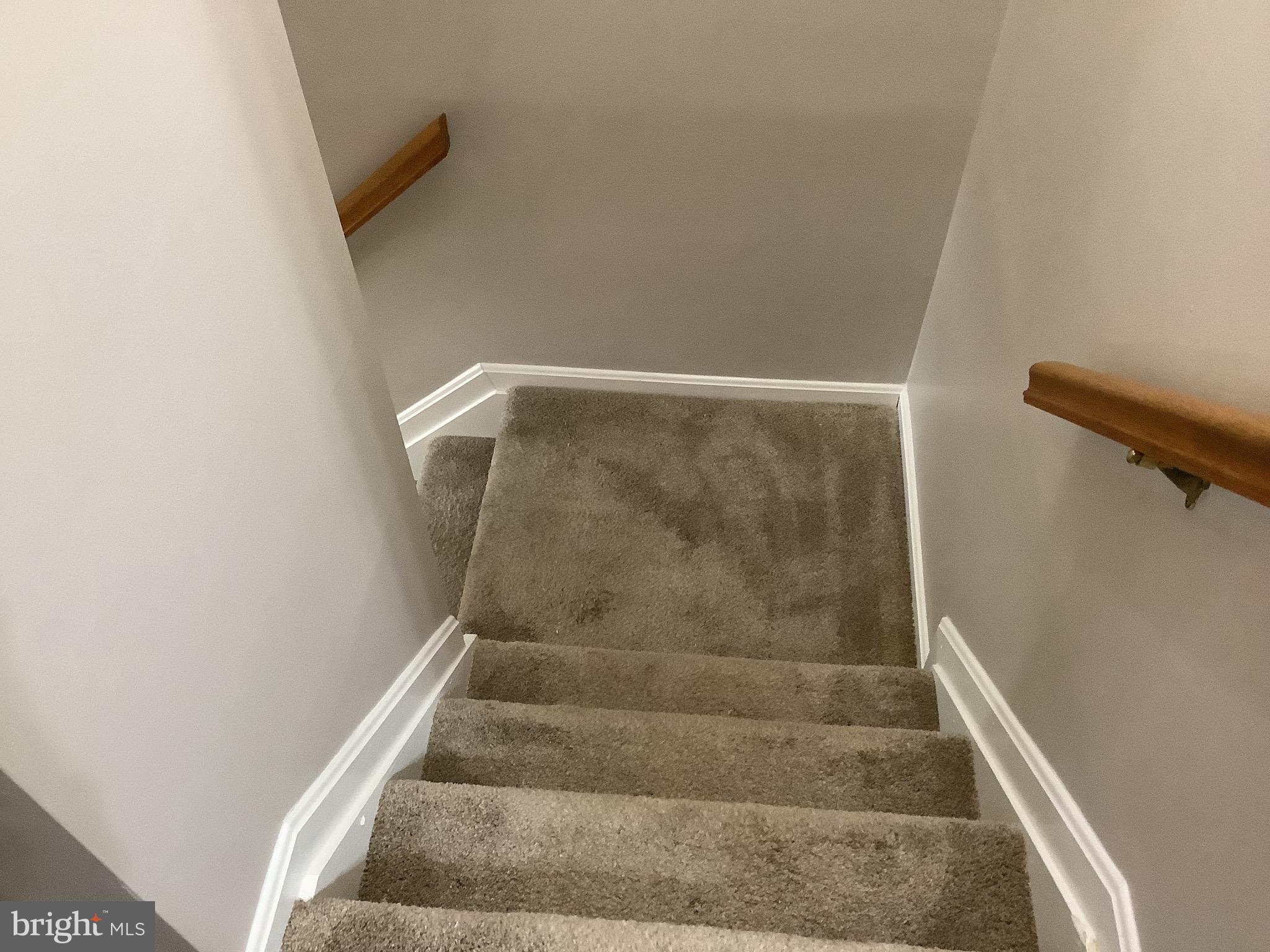 CONSTANT FRIENDSHIP - Residential Lease