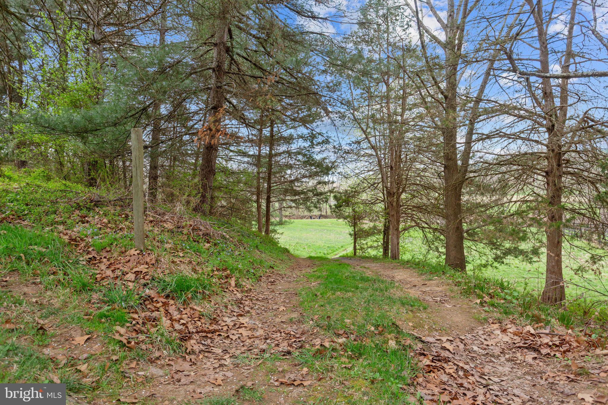 HILDRETH ESTATES - Residential