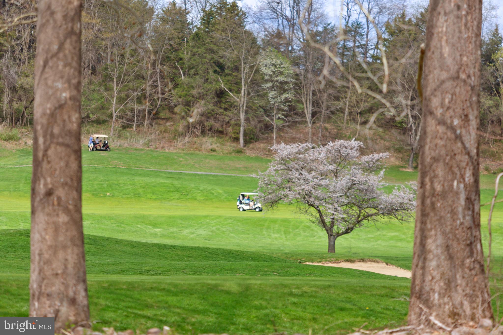 HILDRETH ESTATES - Residential