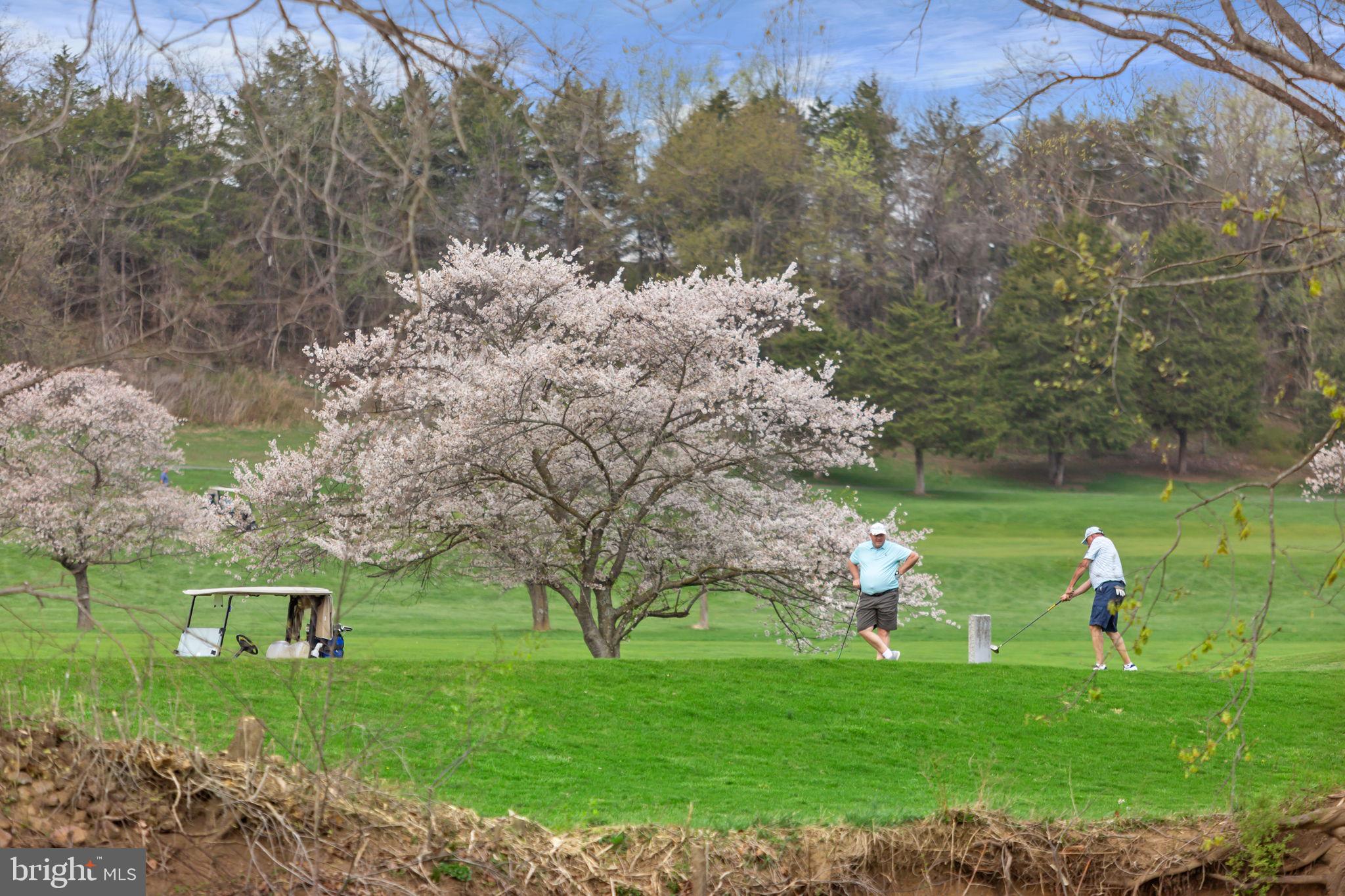 HILDRETH ESTATES - Residential