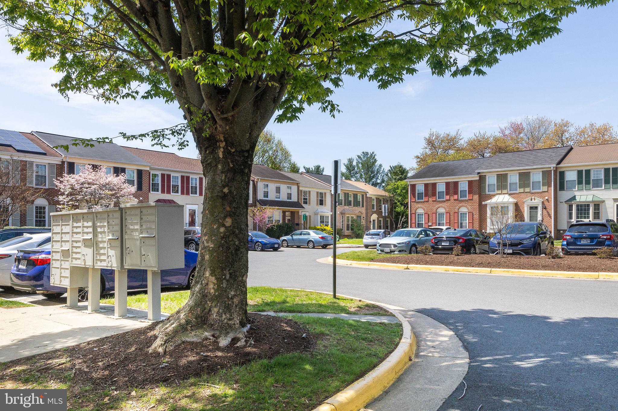 PINECREST - Residential Lease