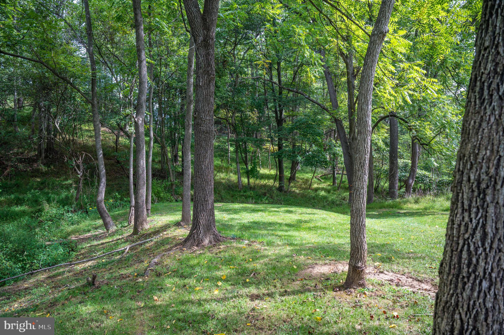 COACHMANS FIELD - Residential