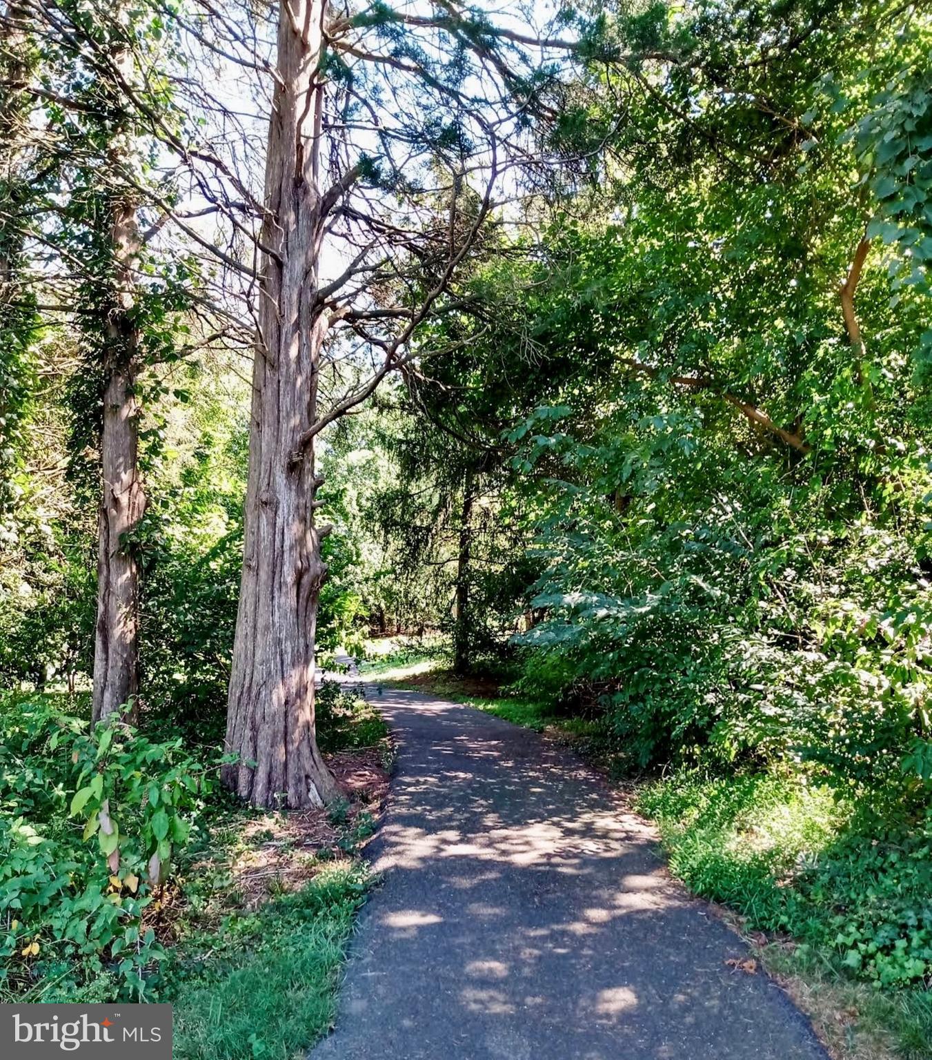 ASHBURN FARM - Residential