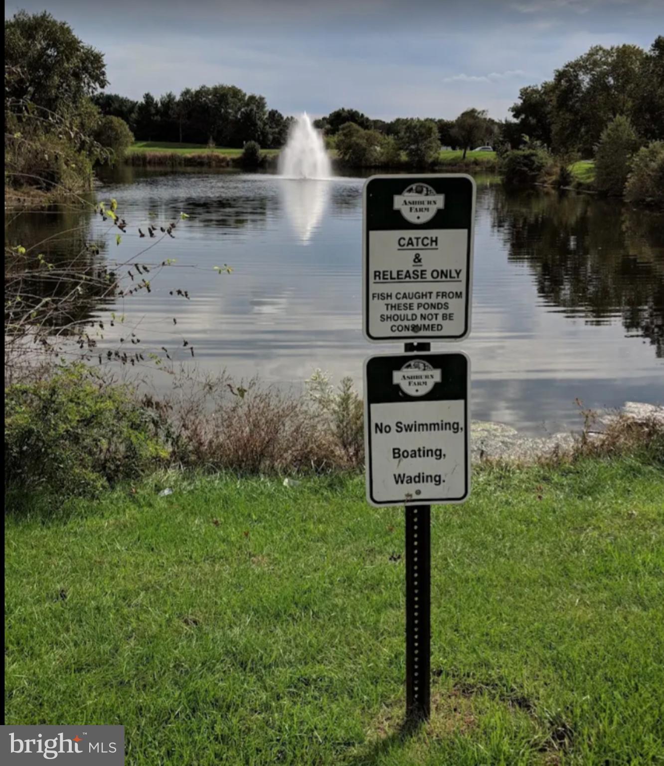 ASHBURN FARM - Residential