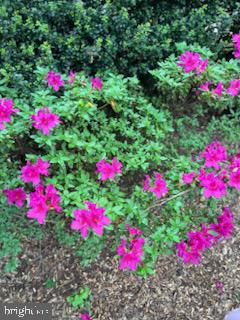 ASHBURN FARM - Residential