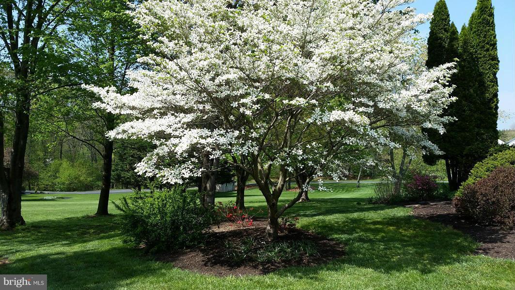 WINDTREE VALLEY - Residential