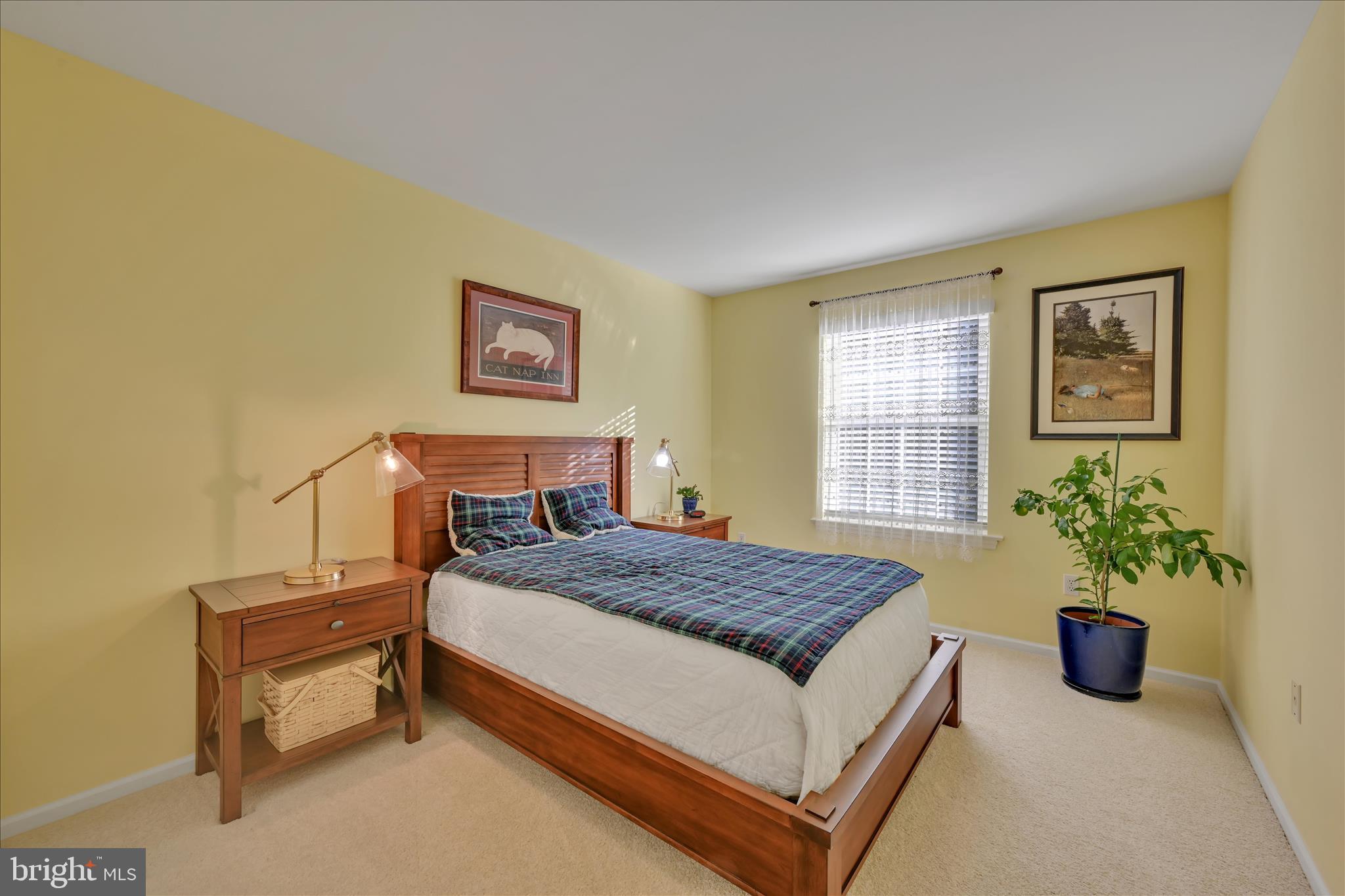 BRADFORD RUN - Residential