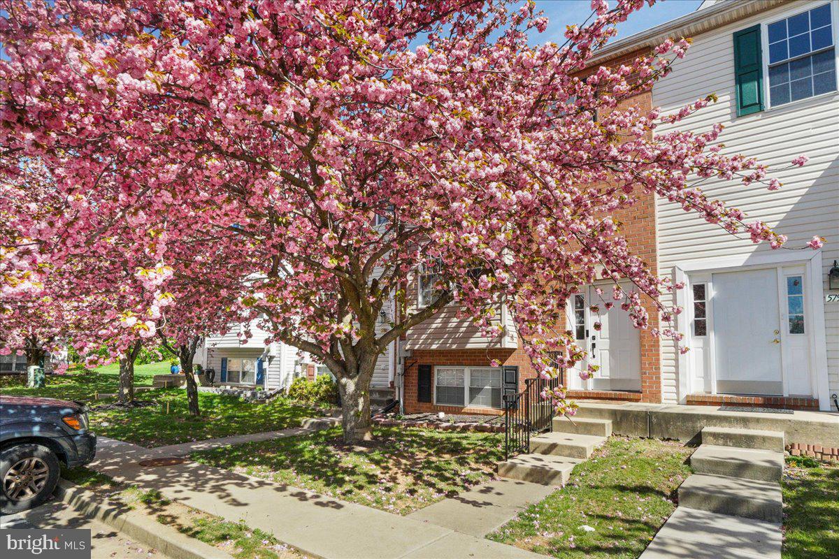 MOUNTAIN VILLAGE - Residential