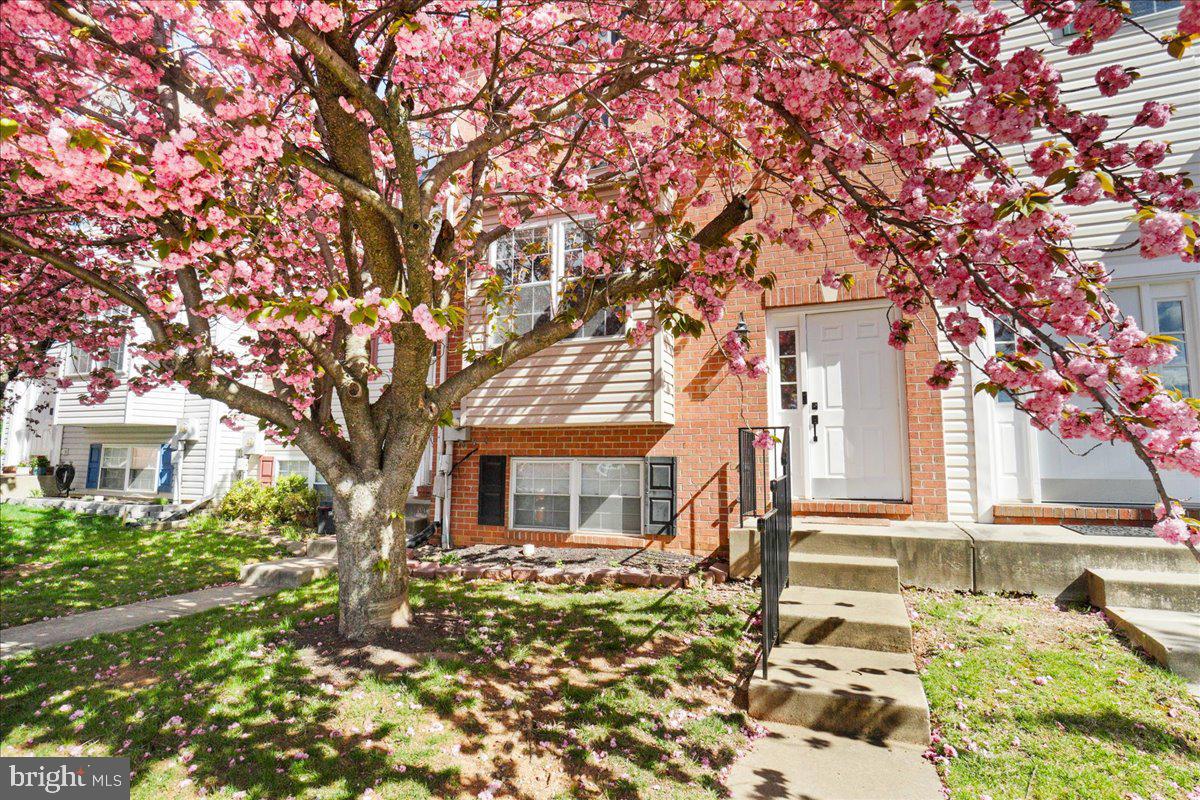 MOUNTAIN VILLAGE - Residential