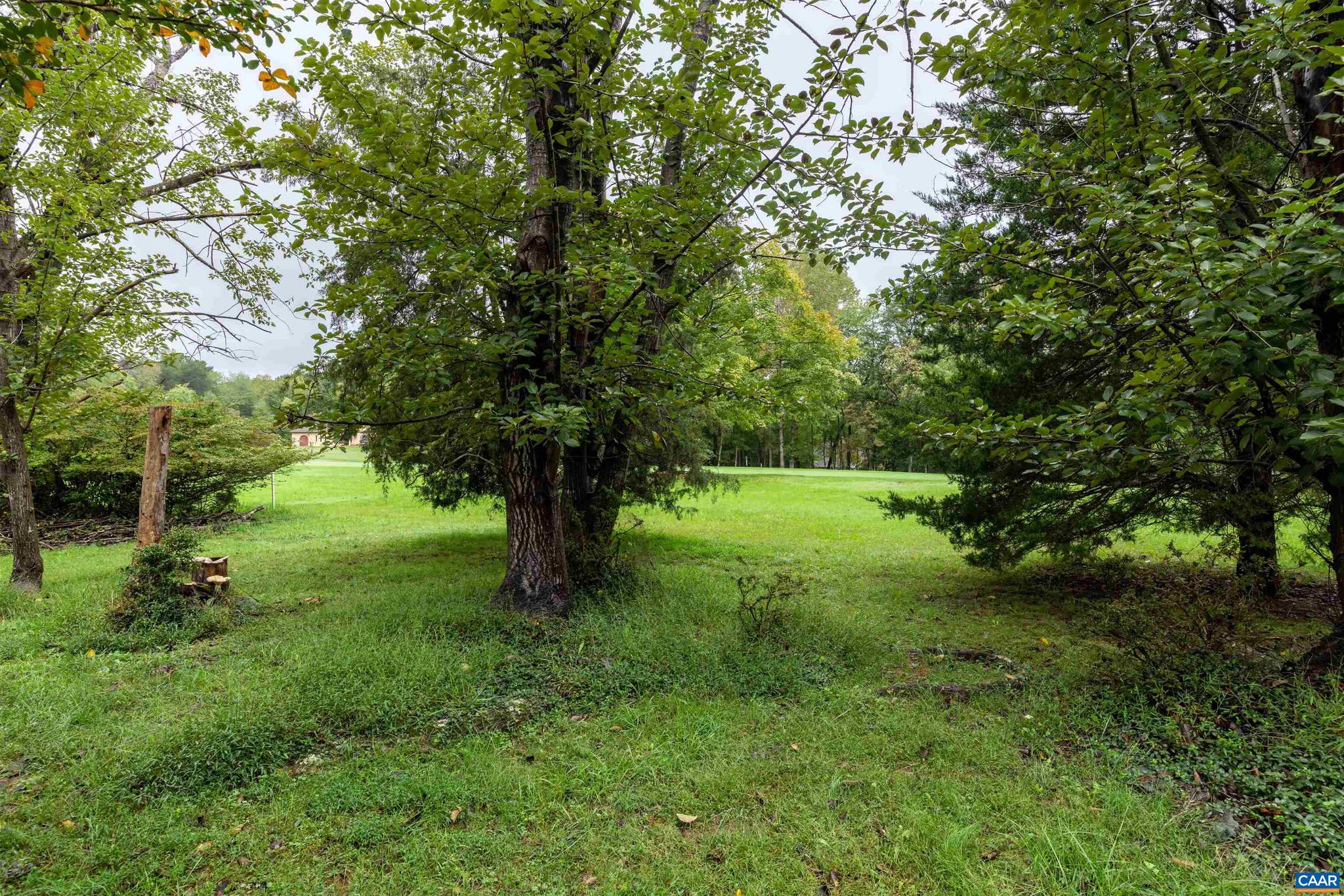 LAKE MONTICELLO - Residential