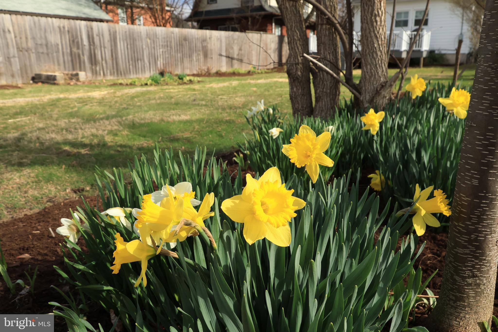 STATE COLLEGE BORO - Residential