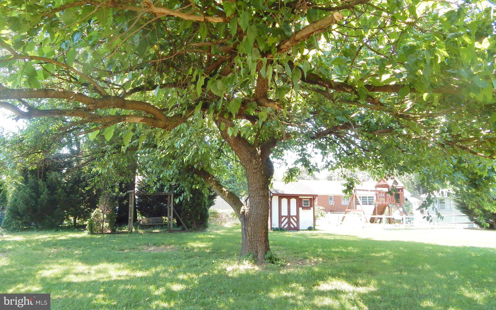 ELMHURST - Residential