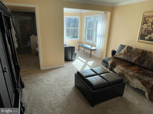 TREWELLYN ESTATES - Residential