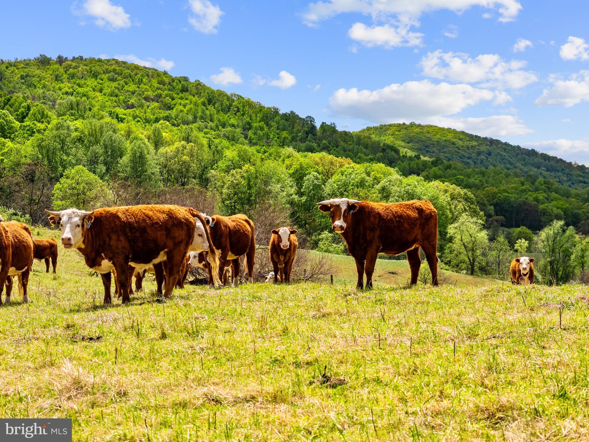 DELAPLANE MEADOWS - Residential