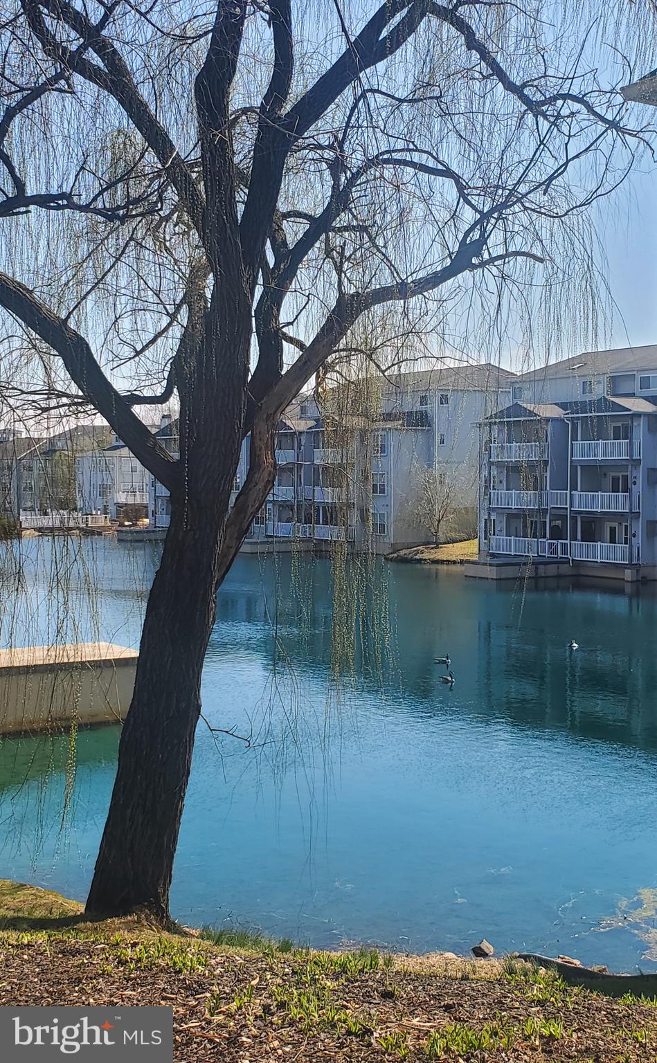 WATERS EDGE - Residential