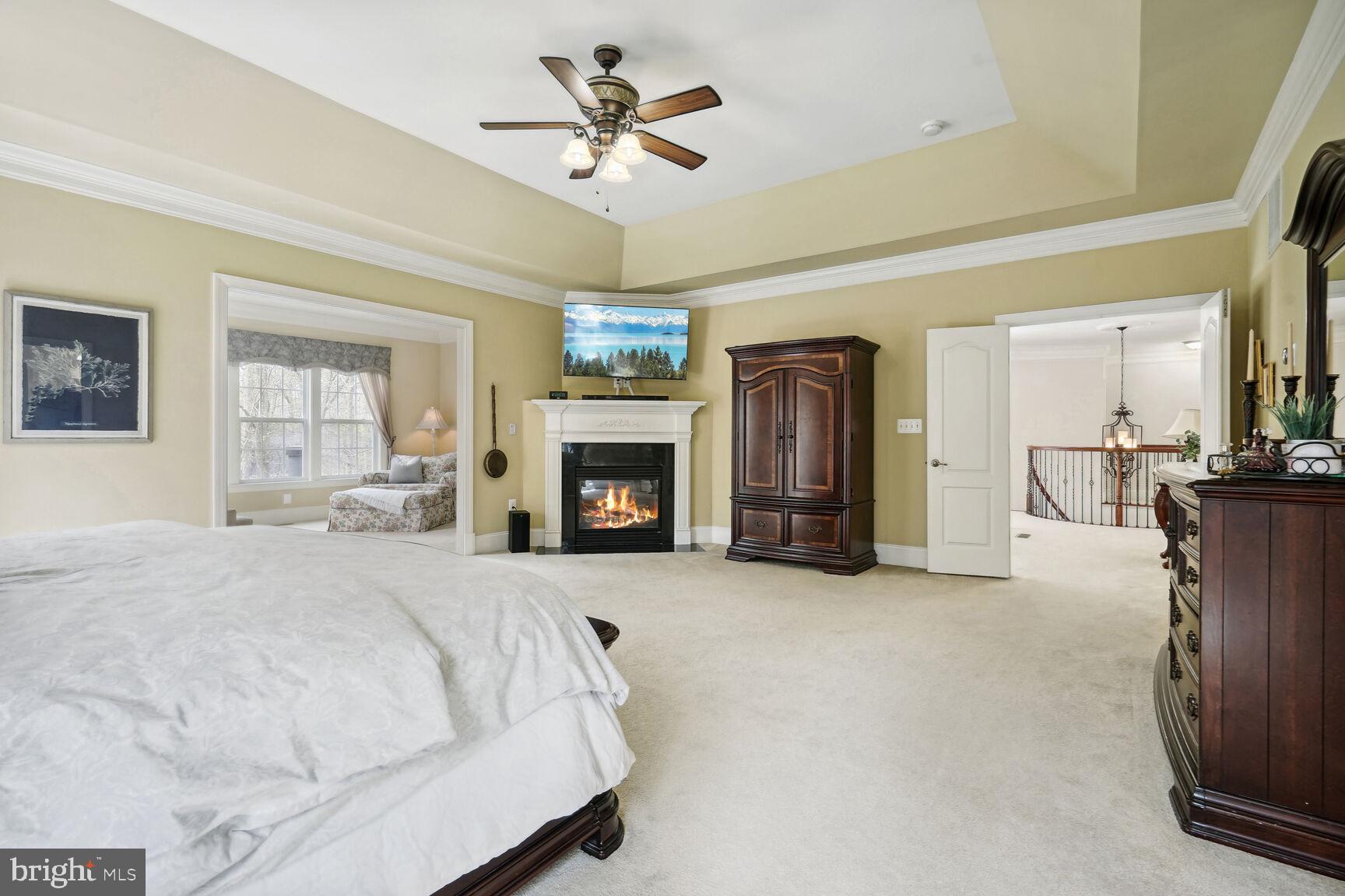 NIRVANA PALACE - Residential