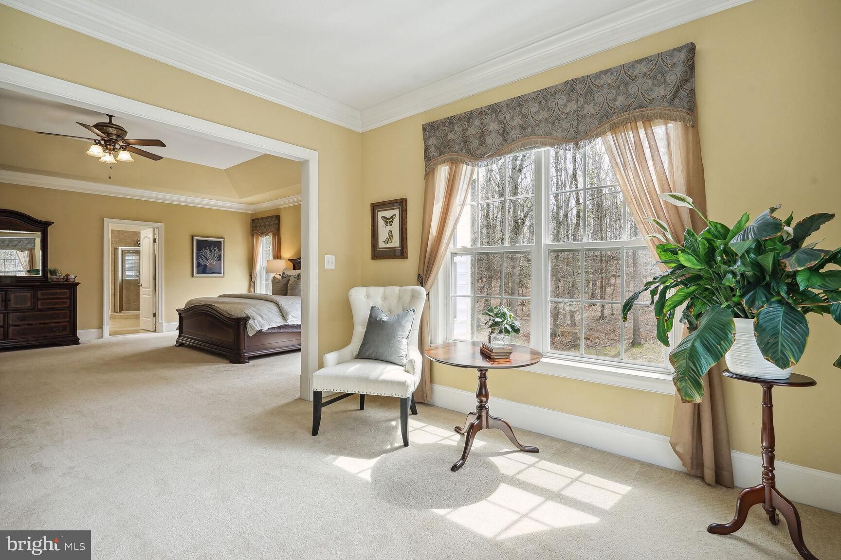 NIRVANA PALACE - Residential