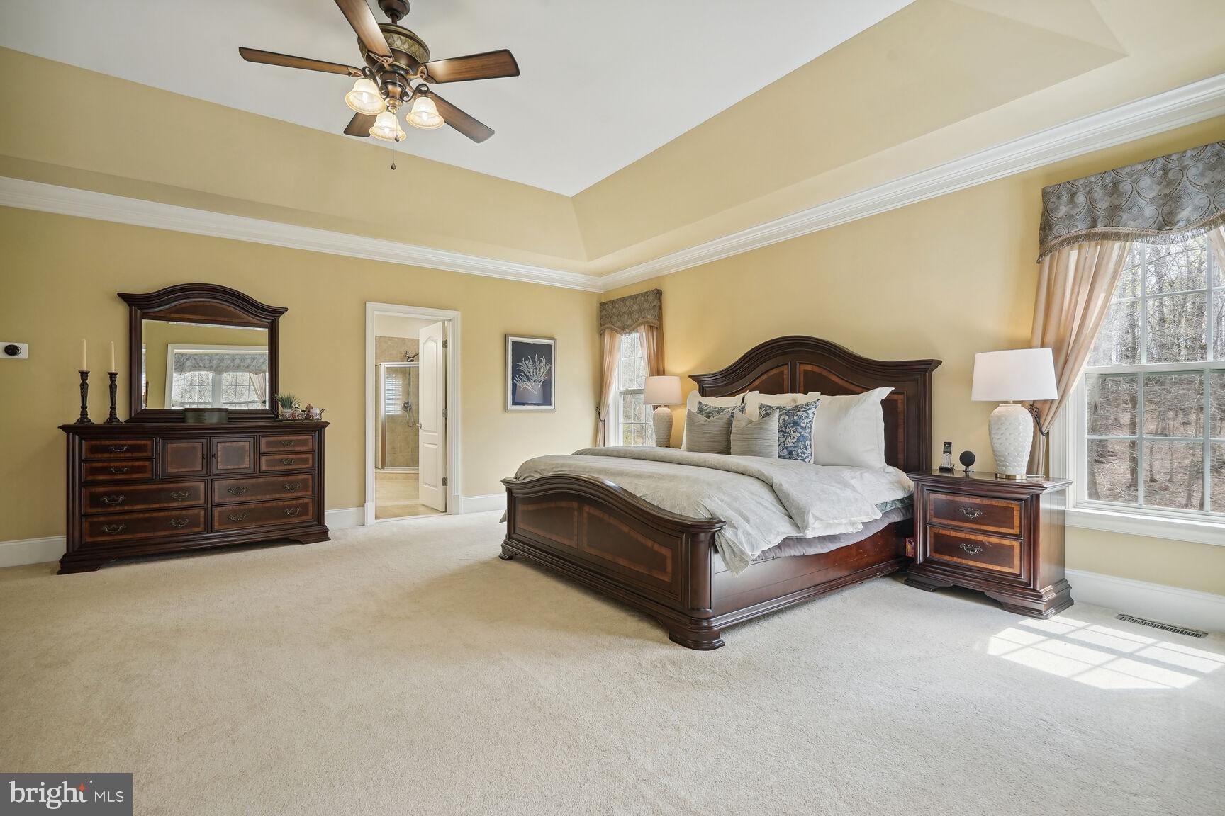 NIRVANA PALACE - Residential