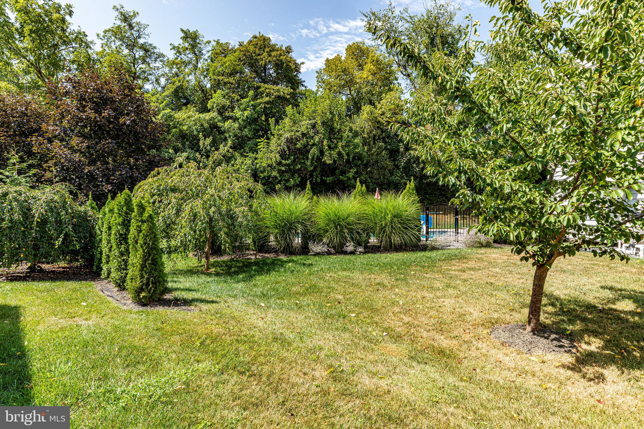 SABER RIDGE - Residential