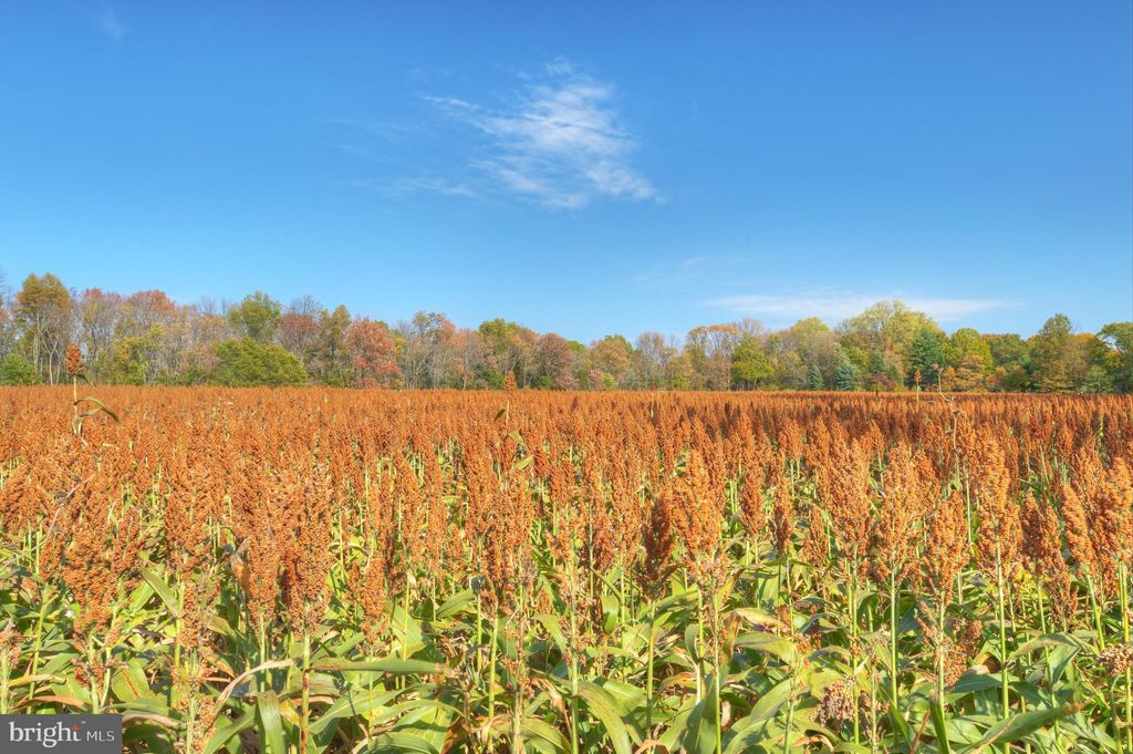 Photo of 0 Mountain View, SKILLMAN, NJ 08558 (MLS # NJSO2004960)