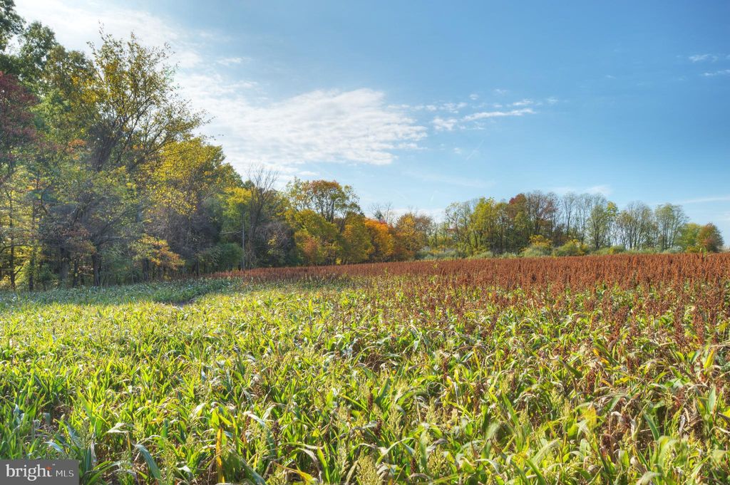 Photo of 0 Mountain View, SKILLMAN, NJ 08558 (MLS # NJSO2004960)