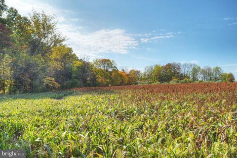 Vacant Land For Sale - Mountain View<br/> SKILLMAN, NJ 08558