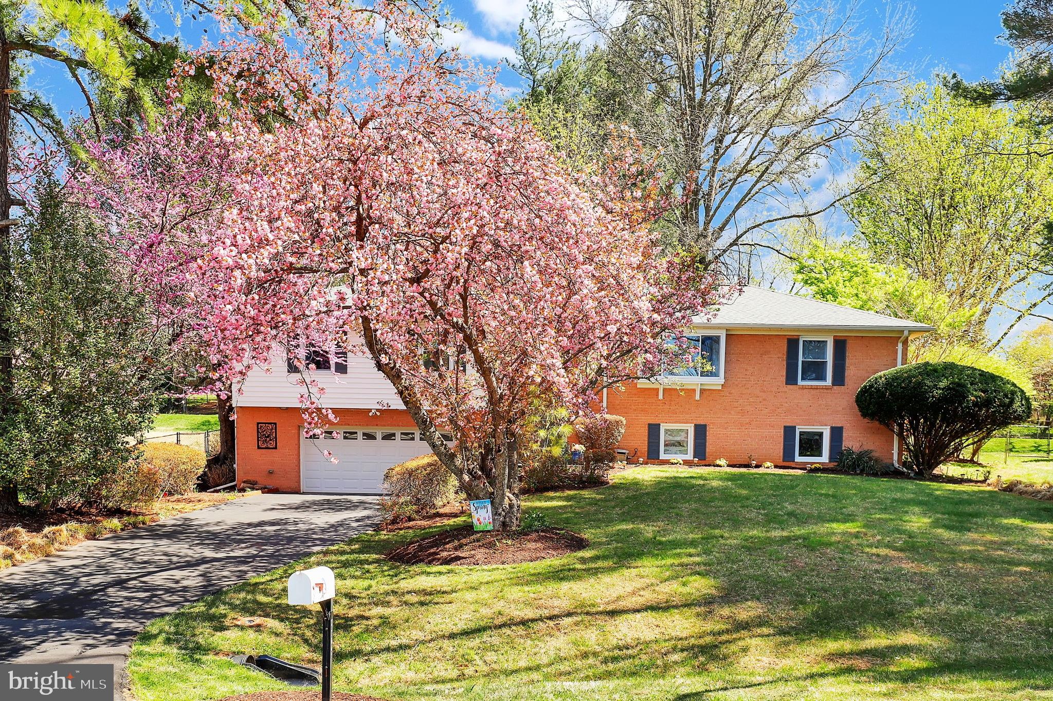 WILLIAMSBURG VILLAGE - Residential