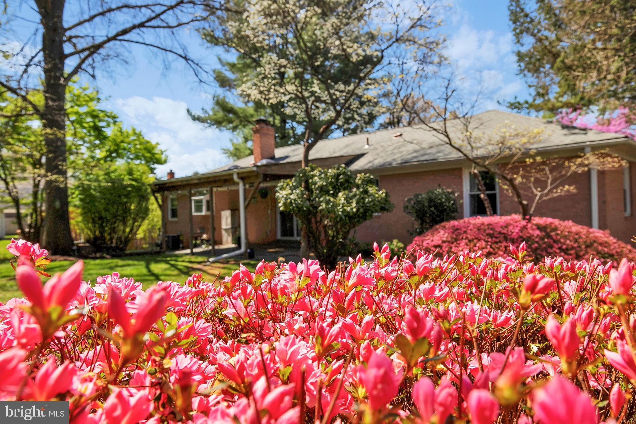 WILLIAMSBURG VILLAGE - Residential