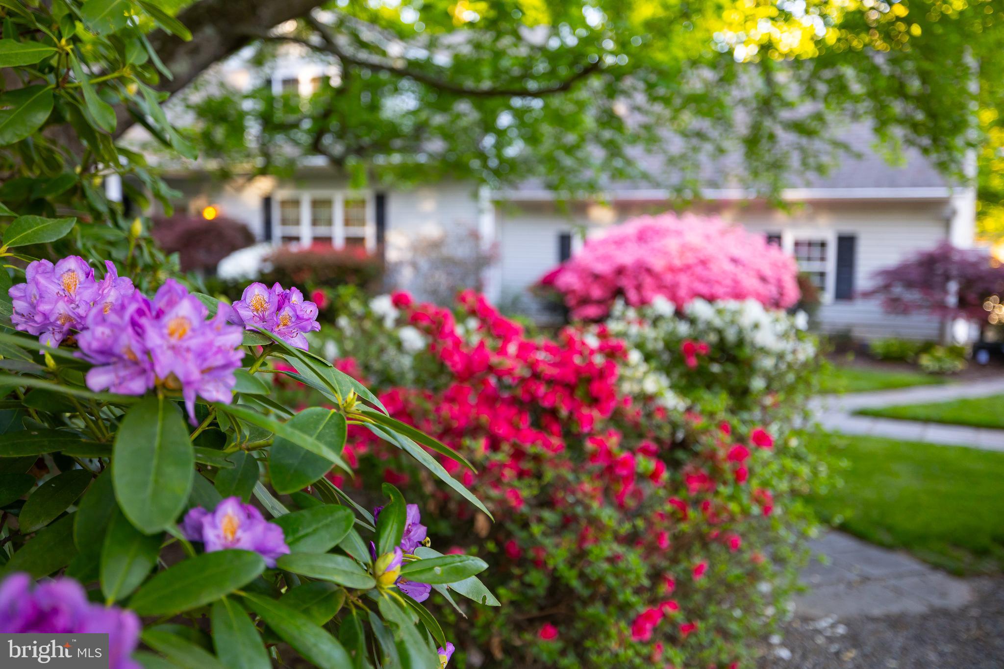 BEAR CASTLE - Residential