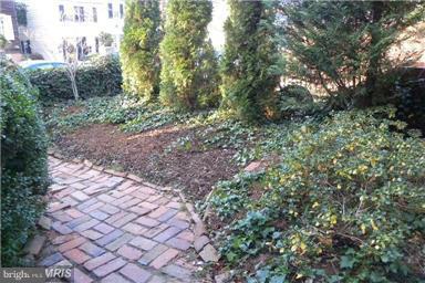 OLD TOWN - Residential Lease