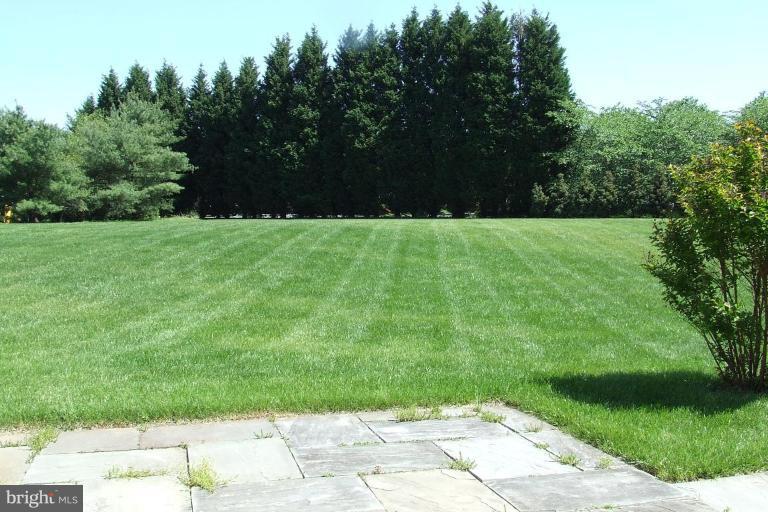 FALCONHURST - Residential Lease