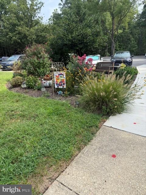 2900 SHIPMASTER WAY 215