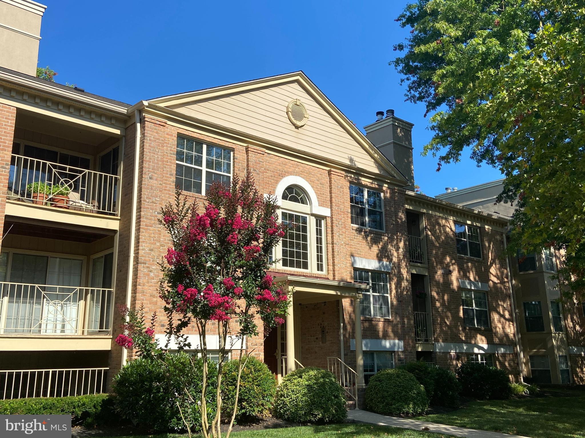 RAINFLOWER/LOVETON - Residential