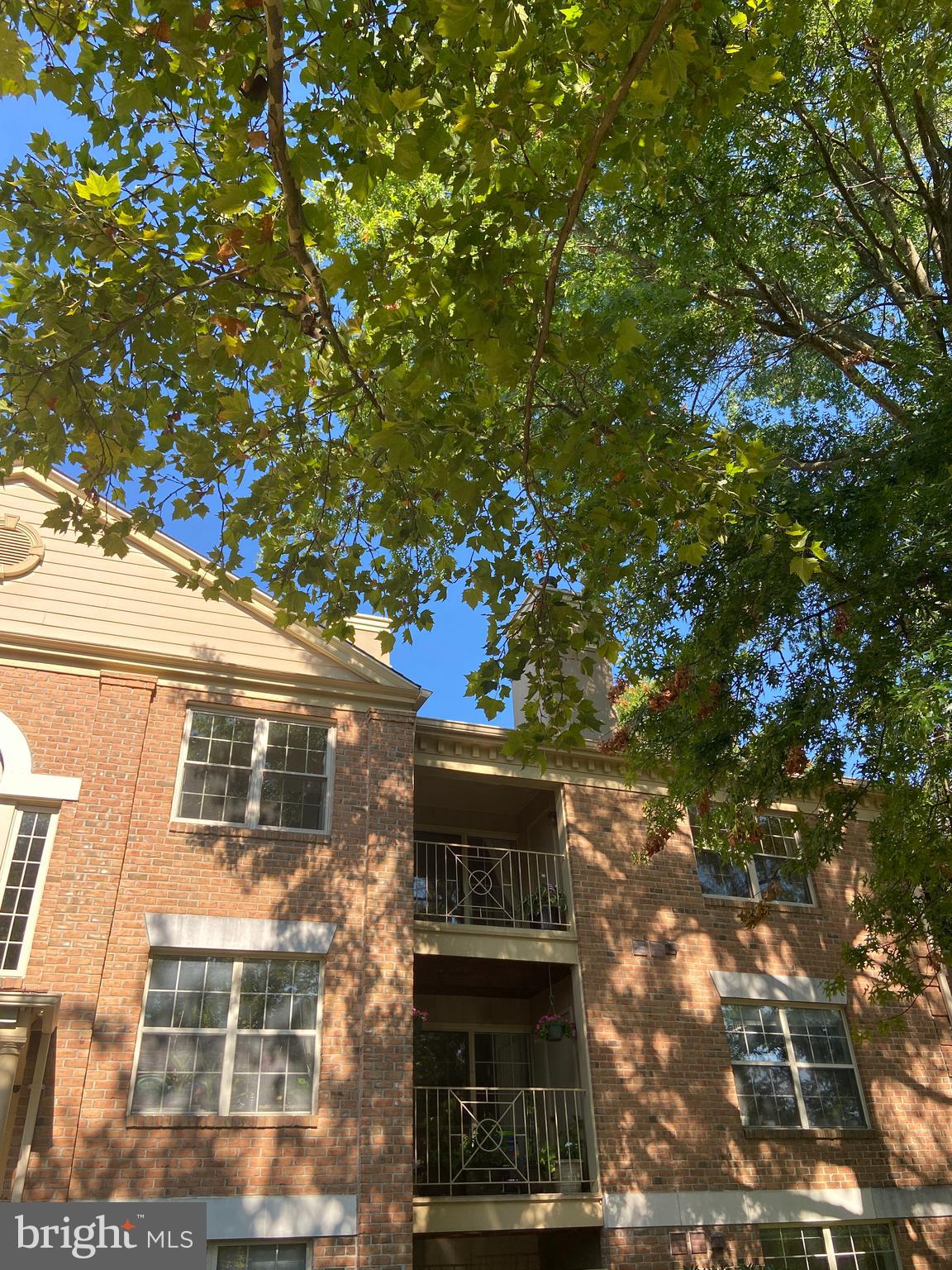 RAINFLOWER/LOVETON - Residential