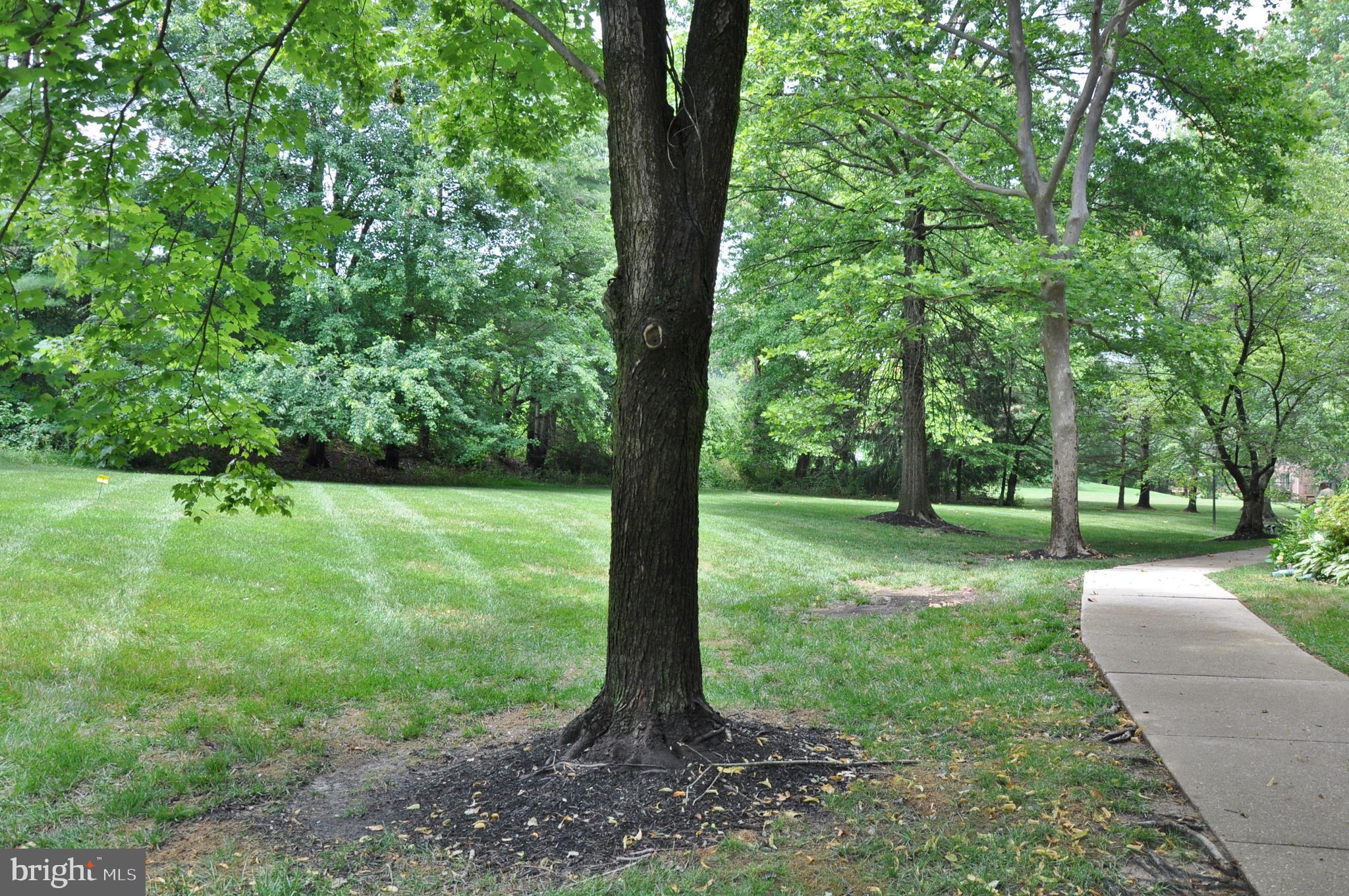 RAINFLOWER/LOVETON - Residential