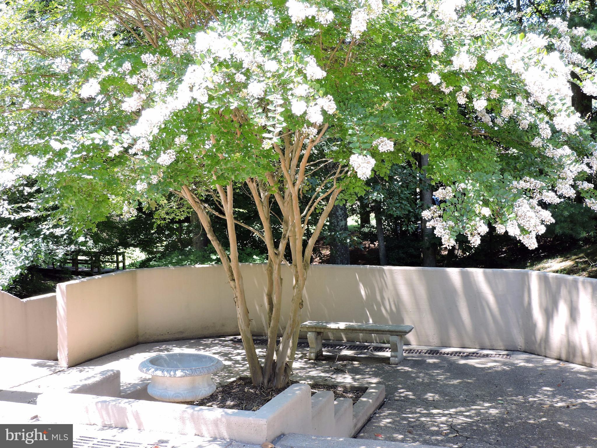 BURKE COVE - Residential