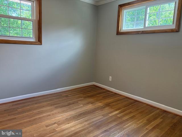 RANDOLPH HILLS - Residential Lease