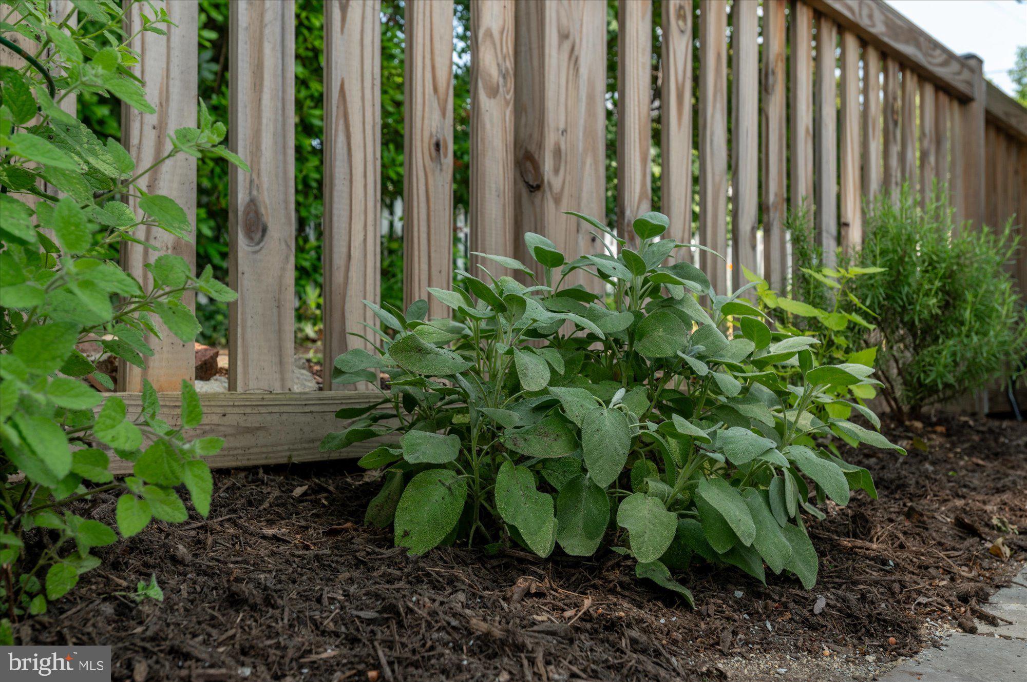 ROSEMONT - Residential