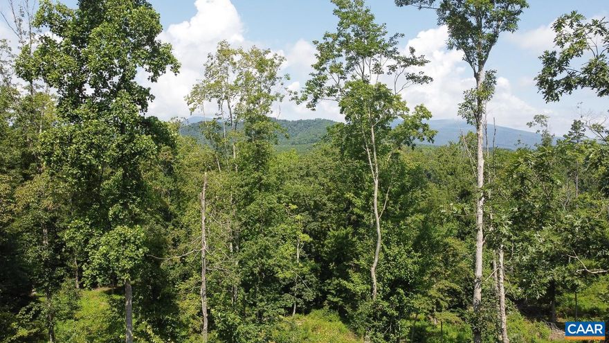 Build your dream home here! Nestled in the heart of Nelson County, this property provides mountain and lake views, pasture, and woods. Spend your day in the serenity of your new home or enjoy the breweries, wineries, hiking trails and much more that Nelson County has to offer. Seller financing available. Short-term rentals allowed!