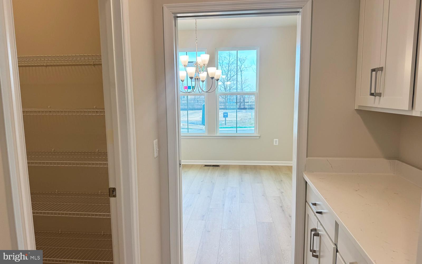 HIATT POINTE AT SNOWDEN BRIDGE - Residential