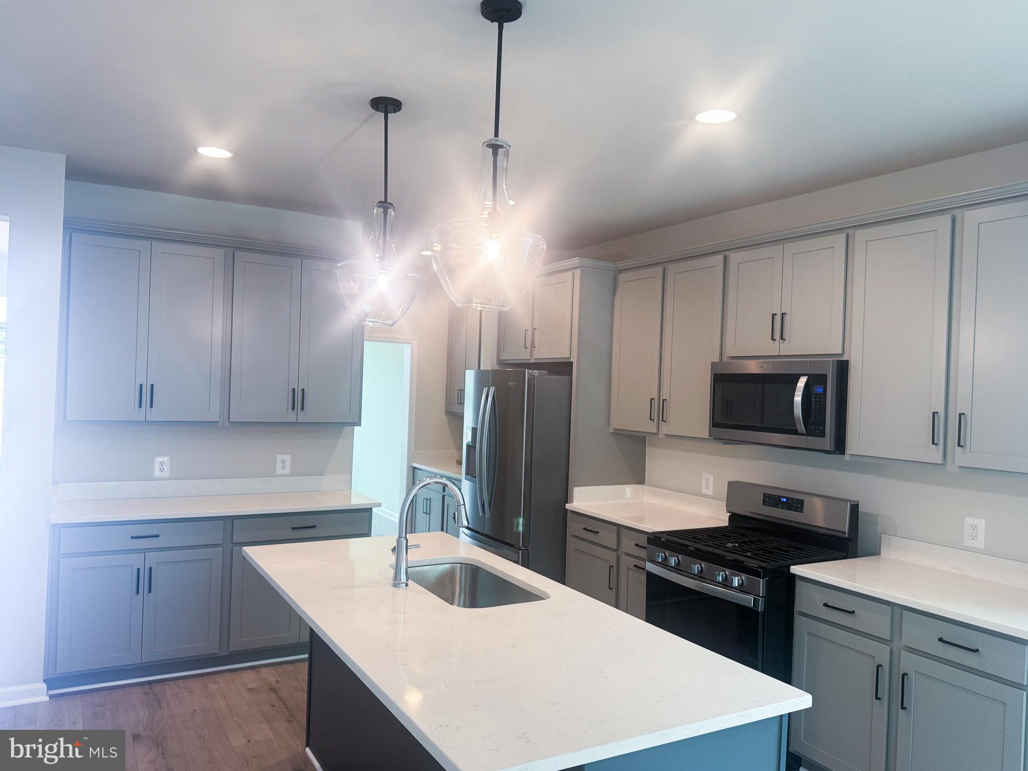 HIATT POINTE AT SNOWDEN BRIDGE - Residential