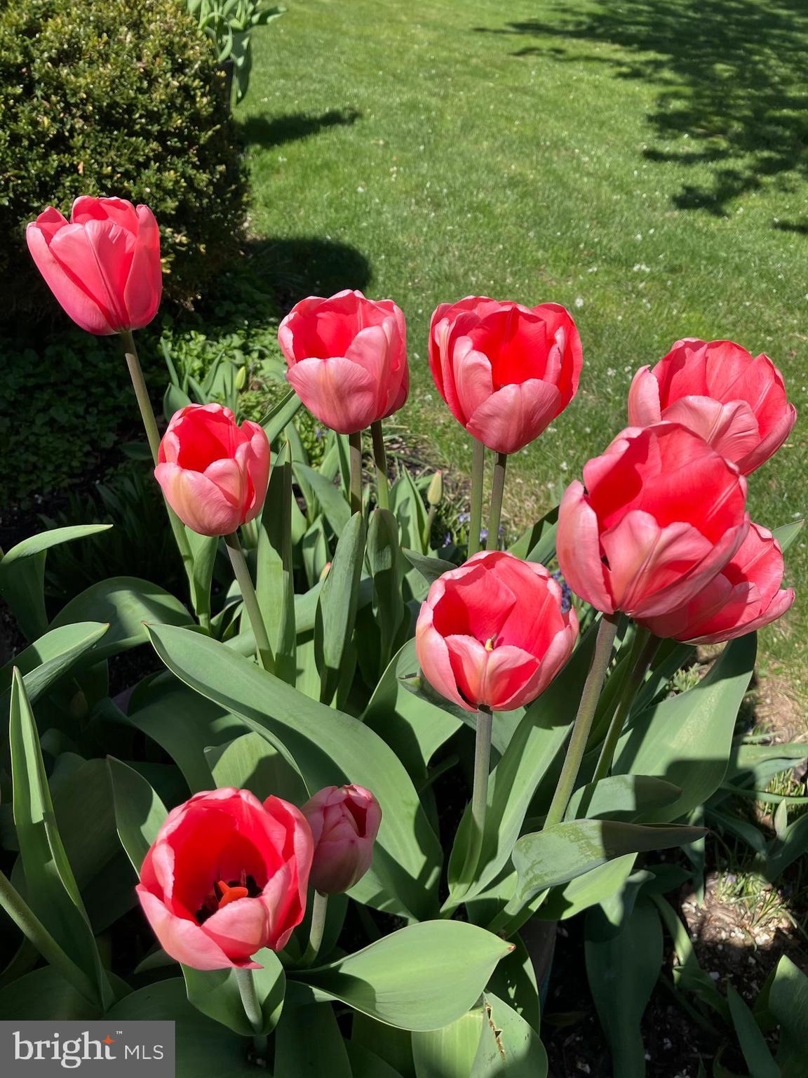 SPRING RUN ACRES - Residential