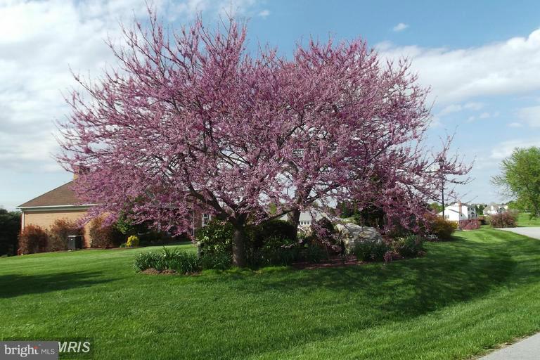 CLOVERDALE HEIGHTS - Residential