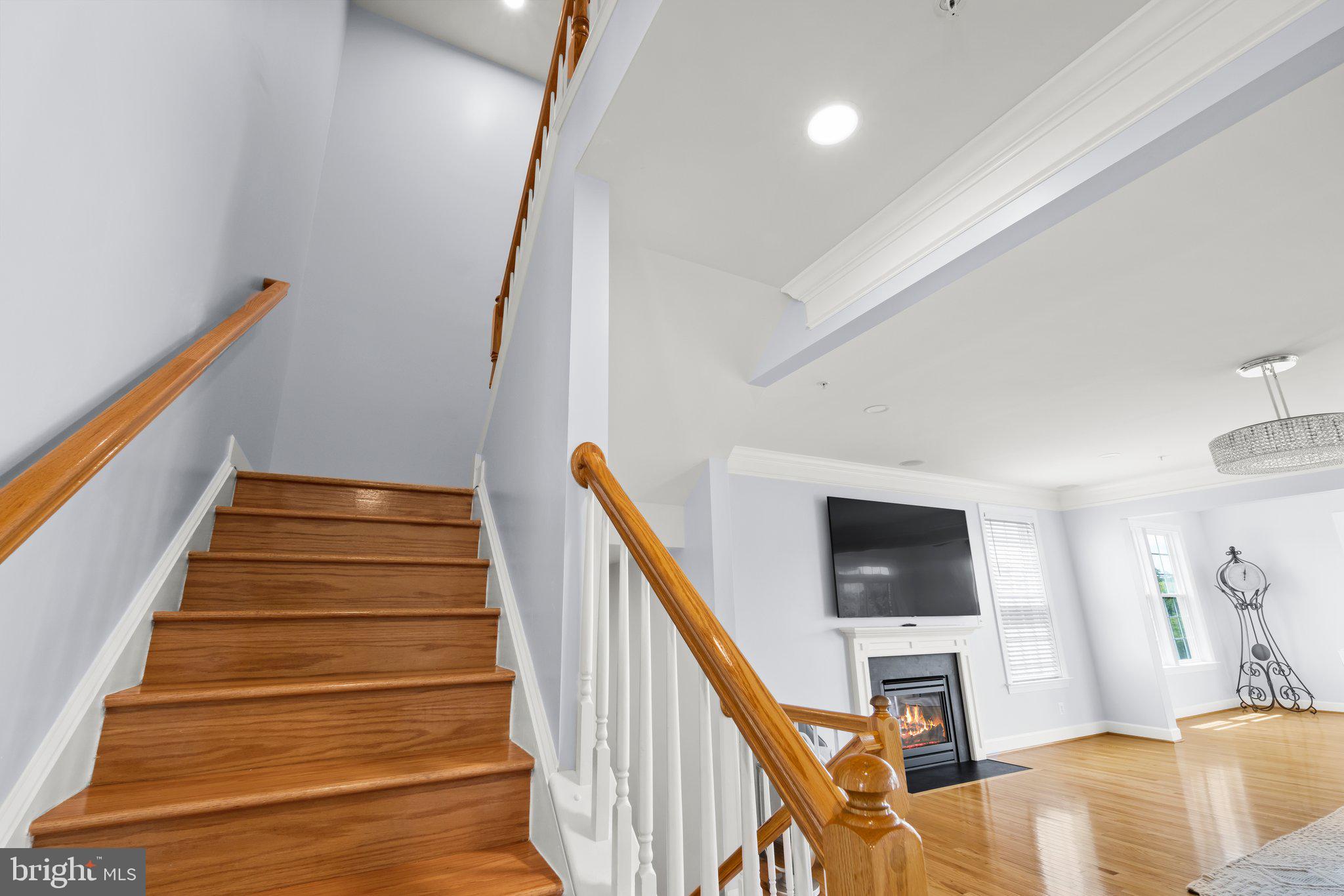 THE ORCHARDS OF SANDY SPRING - Residential