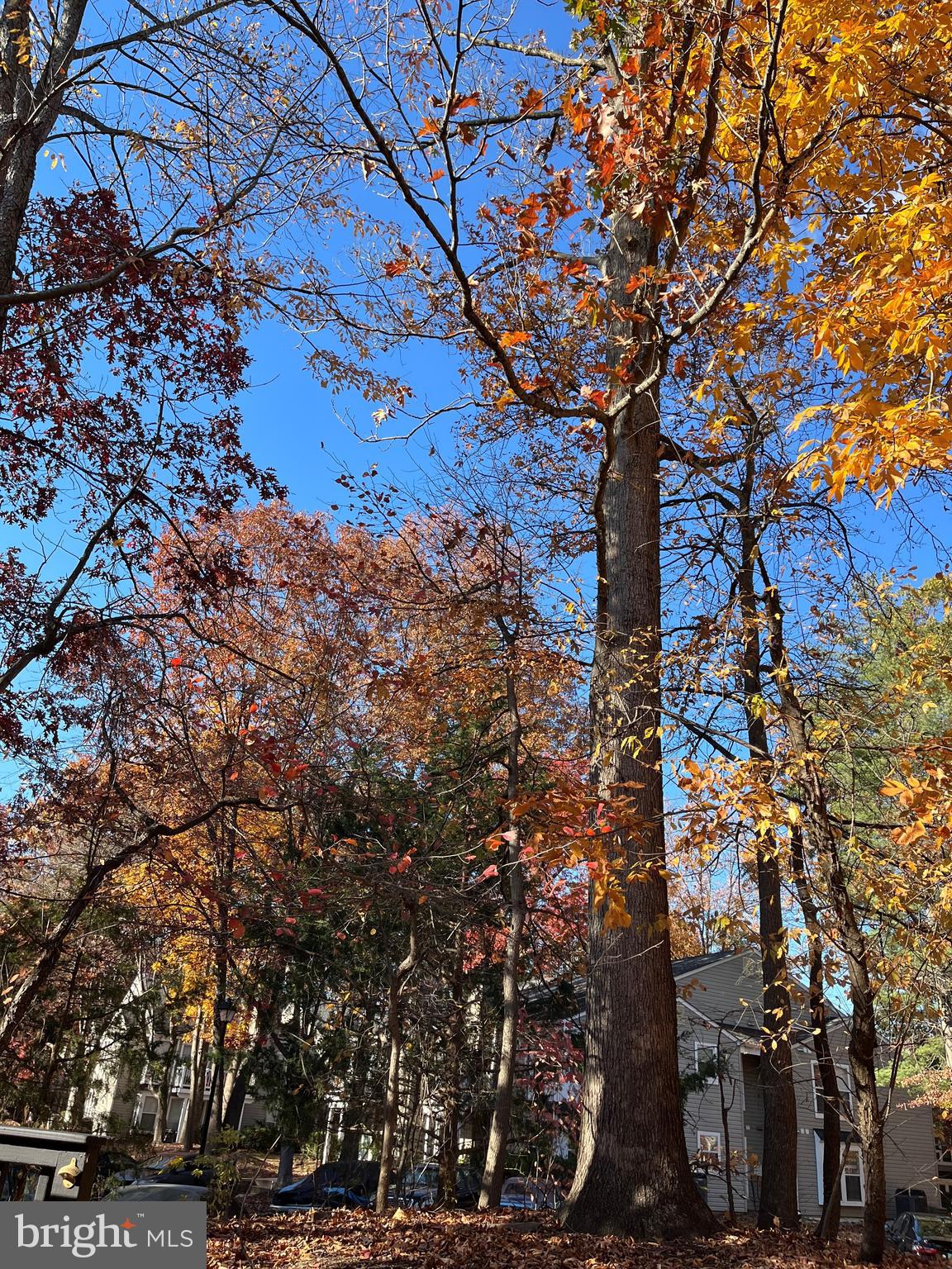 VILLAGE OF HICKORY RIDGE - Residential Lease