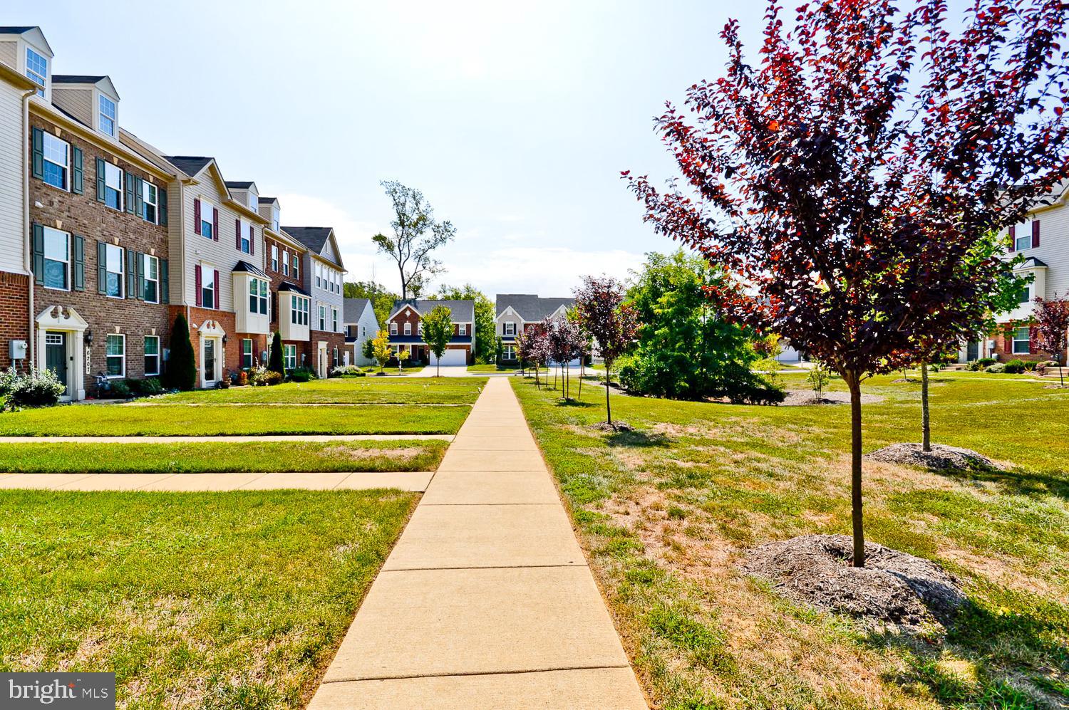 THE ADDISON - Residential