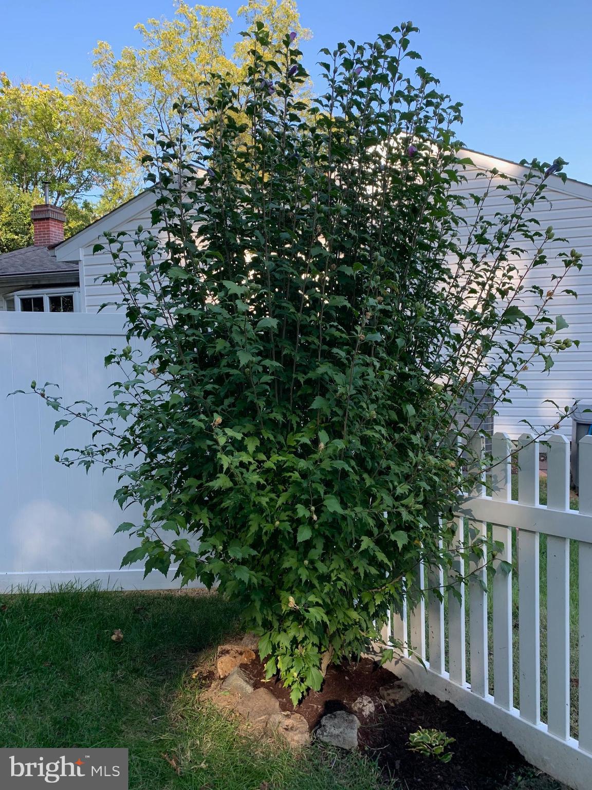 WYNNEWOOD - Residential