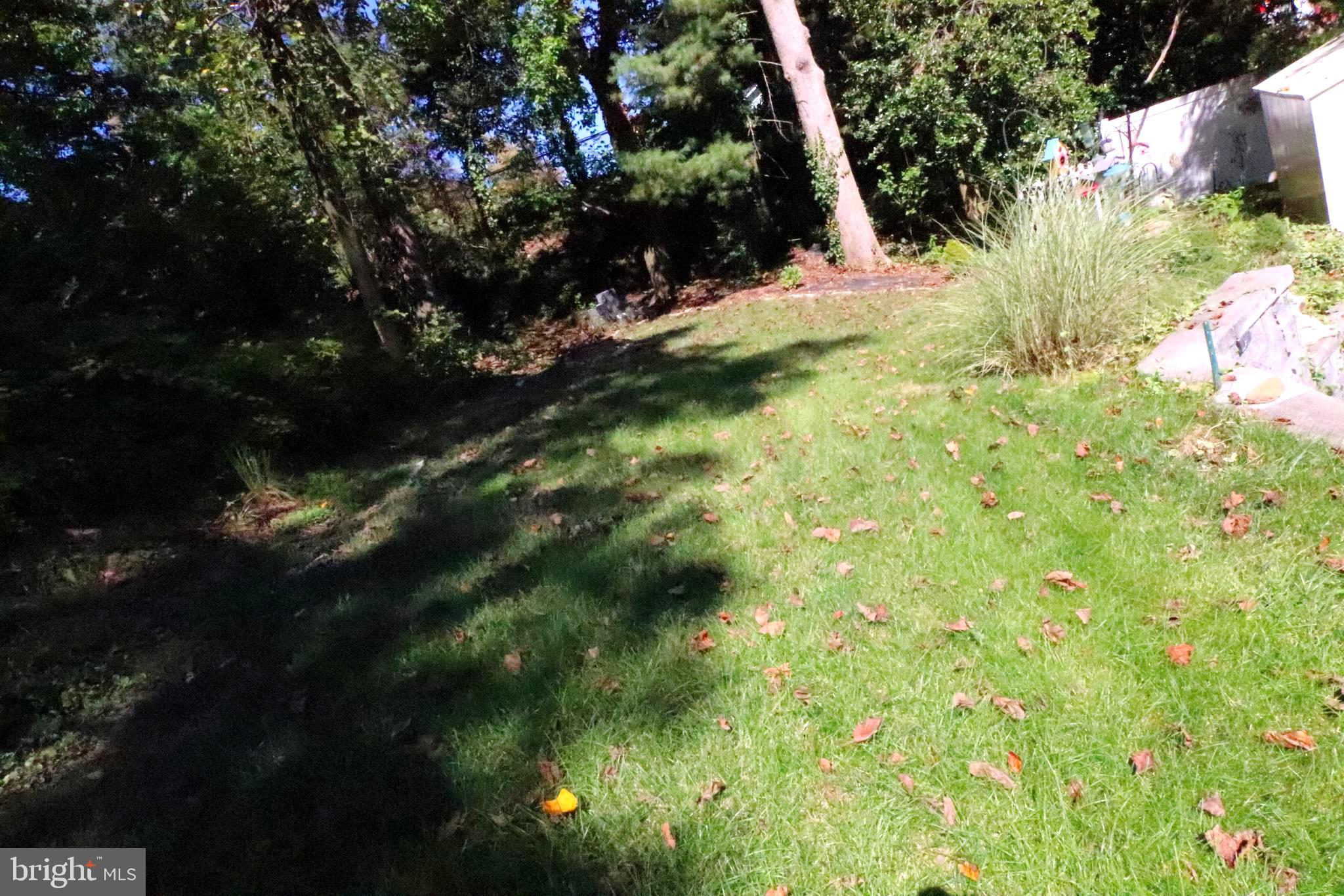 WYNNEWOOD - Residential