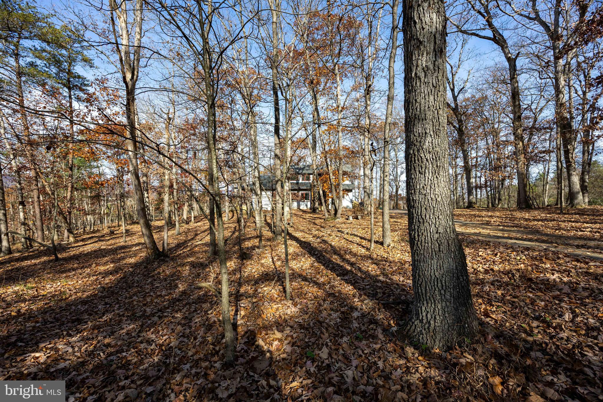 BROOMGRASS - Residential